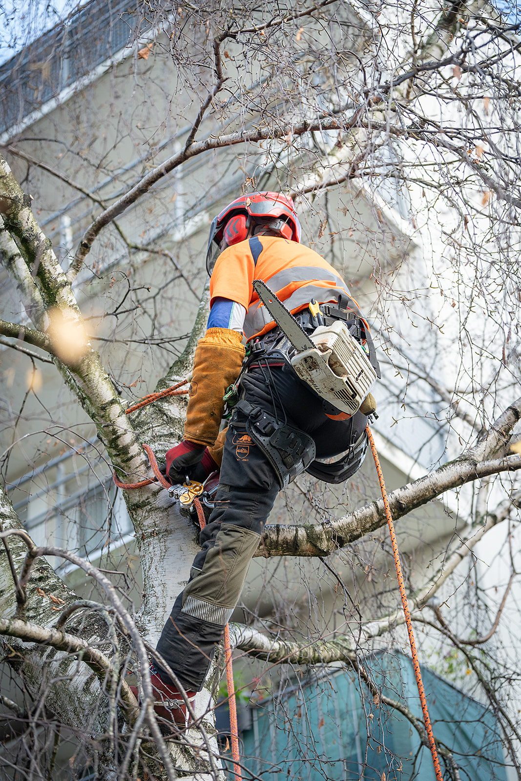 Jaune = mini pelle 2,5T